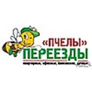 Логотип компании Деликатный переезд (Донецк)