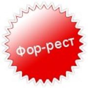 Логотип компании Мебель из дерева от производителя - “ФОР-РЕСТ“ (Киев)