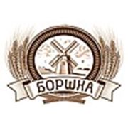 Логотип компании Мотель «Боршна» (Прилуки)