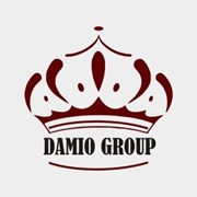 Логотип компании ТОО “DAMIO Group“ (Алматы)