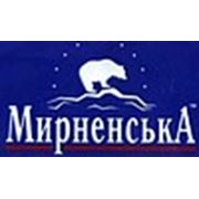 Логотип компании ТОВ Социнновация (Мелитополь)