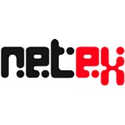 Логотип компании netex (Киев)