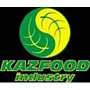 Логотип компании TOO KazFood Industry (Семей)