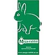 Логотип компании ЧП «Mega-Rabbit» (Раздельная)