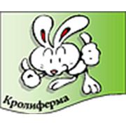 Чаргазия - Кролиферма