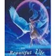 Логотип компании Компания «Beautiful Life» (Киев)