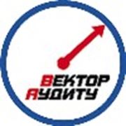 Логотип компании Аудиторская компания «Вектор аудита» (Ивано-Франковск)
