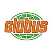 Логотип компании Школа иностранных языков “Глобус“ (Николаев)