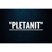 Логотип компании Pletanit (Ташкент)