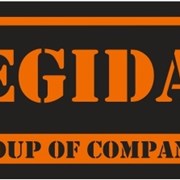 Логотип компании ЭГИДА (Липецк)
