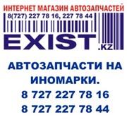 Логотип компании Exist.kz (Экзист.кз) интернет-магазин, ИП (Алматы)