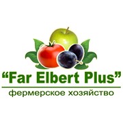 Логотип компании Far Elbert Plus, Ф/Х (Кувасай)