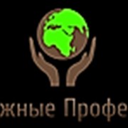 Логотип компании Road Professionals (Уфа)