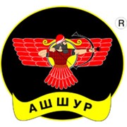 Логотип компании Ашшур Химиндустрия, ТОО (Алматы)