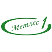 Логотип компании Метлес-1, ООО (Москва)