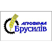 Логотип компании Агрофирма Брусилов, ООО (Брусилов)