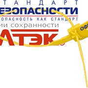 Логотип компании Стандарт безопасности (Ярославль)