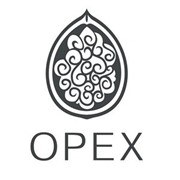 Логотип компании OPEX LTD, ТОО (Алматы)