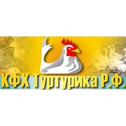 Логотип компании КФХ Туртурика Р.Ф., ЧП (Рыбница)