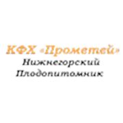 КФХ"Прометей"