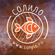 Логотип компании Солило (Ульяновск)