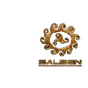 Логотип компании SALBEN Group (САЛЬБЕН Груп), ТОО (Талгар)