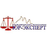 Логотип компании ООО «ЮР-ЭКСПЕРТ» - юридическая компания (Николаев)