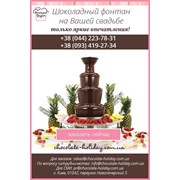 Логотип компании Шоколадный праздник (Киев)