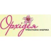 Логотип компании Орхидея трикотажная швейная фабрика, ООО (Белая Церковь)