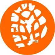 Логотип компании Диолинк, ЧП (Минск)