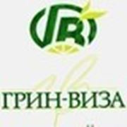 Логотип компании ООО «ГРИН-ВИЗА» (Киев)
