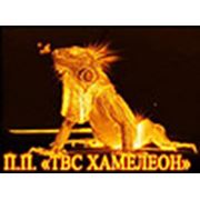 Логотип компании Частное Предприятие “ТВС ХАМЕЛЕОН“ (Новояворовск)