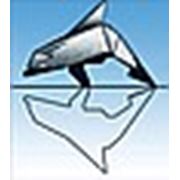 Water-metal