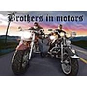 Логотип компании Brothers in motors (Днепр)