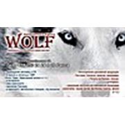 Логотип компании Рекламное агентство «Wolf» (Донецк)