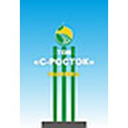 Логотип компании ООО “С-Росток“ (Николаев)