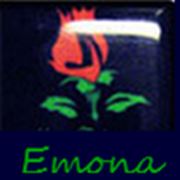 Логотип компании Интернет-магазин “Емона“ (Киев)