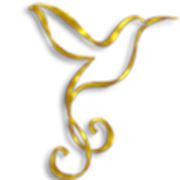 Логотип компании Стиль Колибри (Черновцы)
