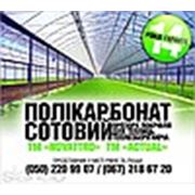 Логотип компании ТзОВ “Міст-Сервіс і К“ (Ровно)