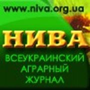 Логотип компании Журнал «Нива» (Симферополь)