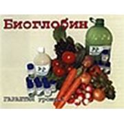 "МАГИД" ЧП