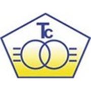 Логотип компании ООО «Трансформатор сервис» (Хмельницкий)