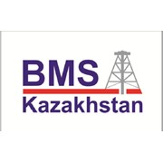 Логотип компании BMS Kazakhstan (БМС) Казахстан, ТОО (Алматы)