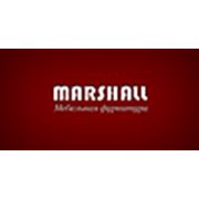 Логотип компании Marshall (Харьков)
