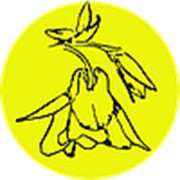 Логотип компании “Аквилегия“ (Бийск)