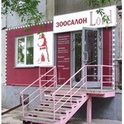 Логотип компании Зоосалон ЛОРД (Новосибирск)