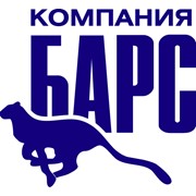Логотип компании Компания Барс, ООО (Ижевск)