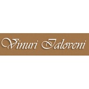 Логотип компании Vinuri Ialoveni, SA (Кишинев)