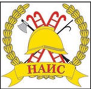 Логотип компании Наис-Н, ЧП (Киев)