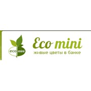 Логотип компании Скайфолл ТМ Eco mini, ООО (Винница)